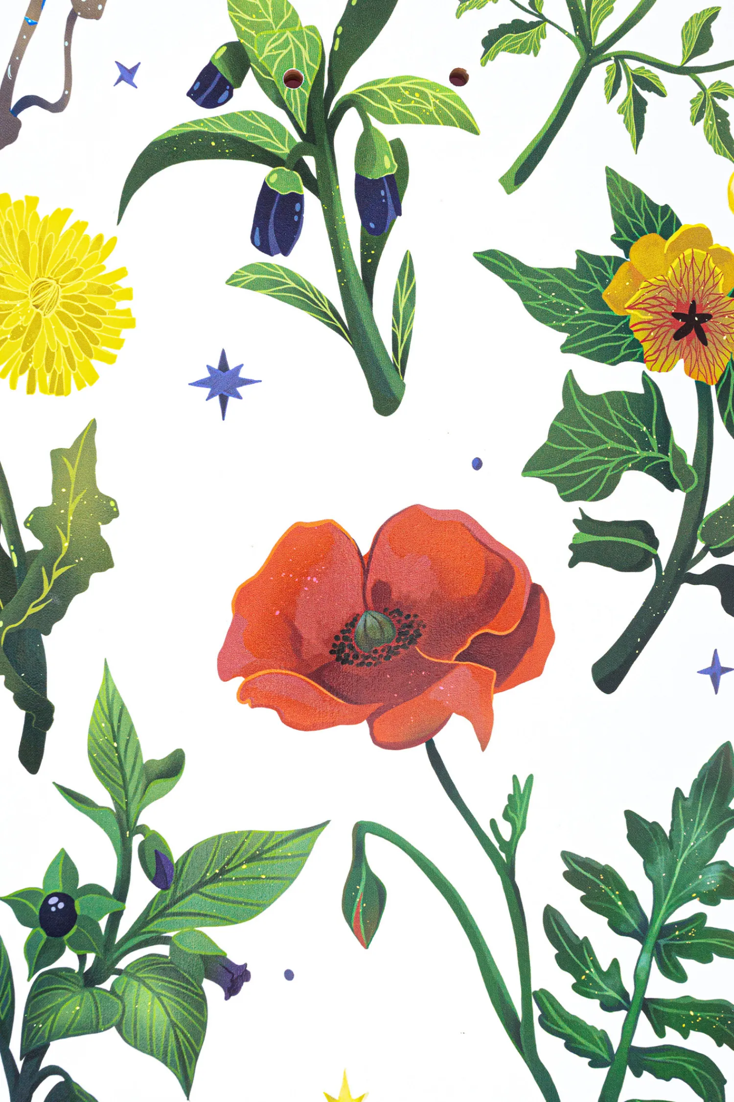 Palto Blat Herbarium- Blaty Do Deskorolki