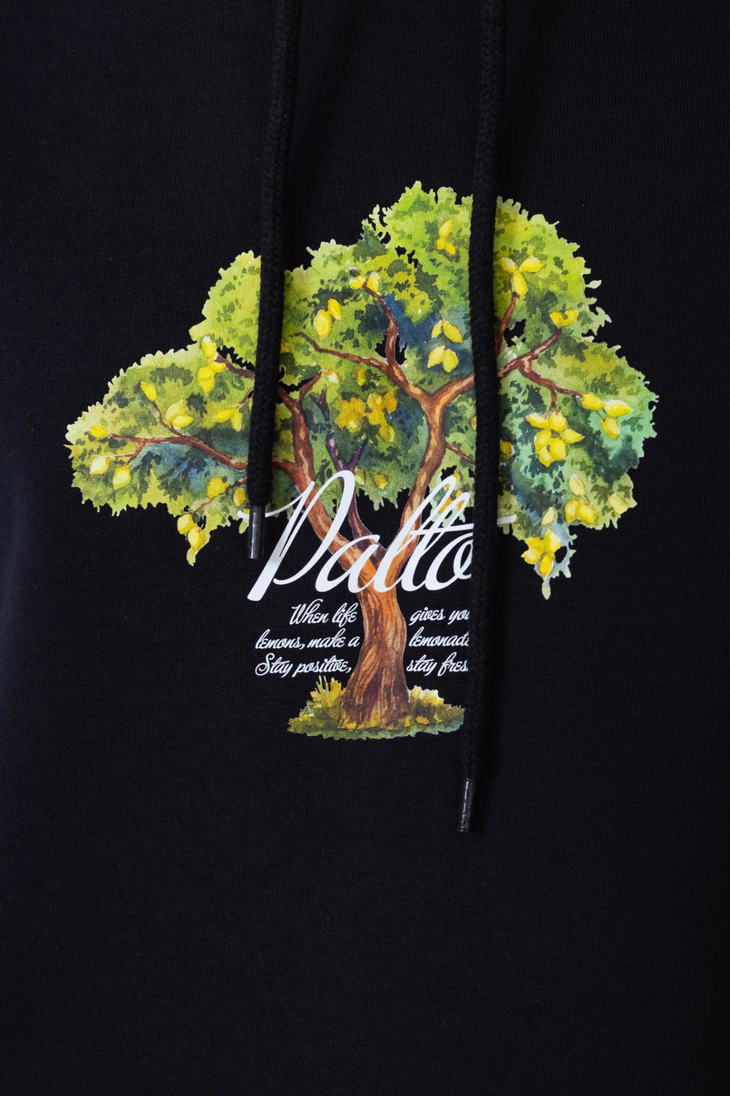 Palto Bluza Z Kapturem Lemon Tree- Bluzy Z Kapturem