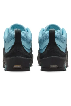 Nike Buty SB Air Max Ishod- Buty Sportowe|Wszystkie Buty