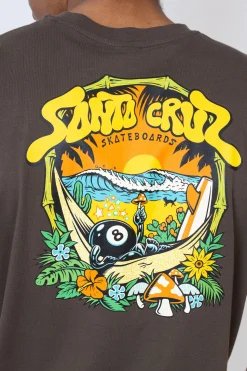 Santa Cruz Skateboards Koszulka Santa Cruz Winkowski 8Baller Trip- T-shirty